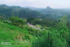 Lot For Sale in Magsaysay Hills Genonocan Tubigon Bohol